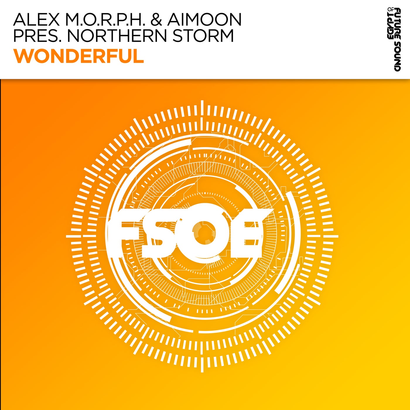 Cover - Alex M.O.R.P.H., Aimoon, Northern Storm - Wonderful (Extended Mix)