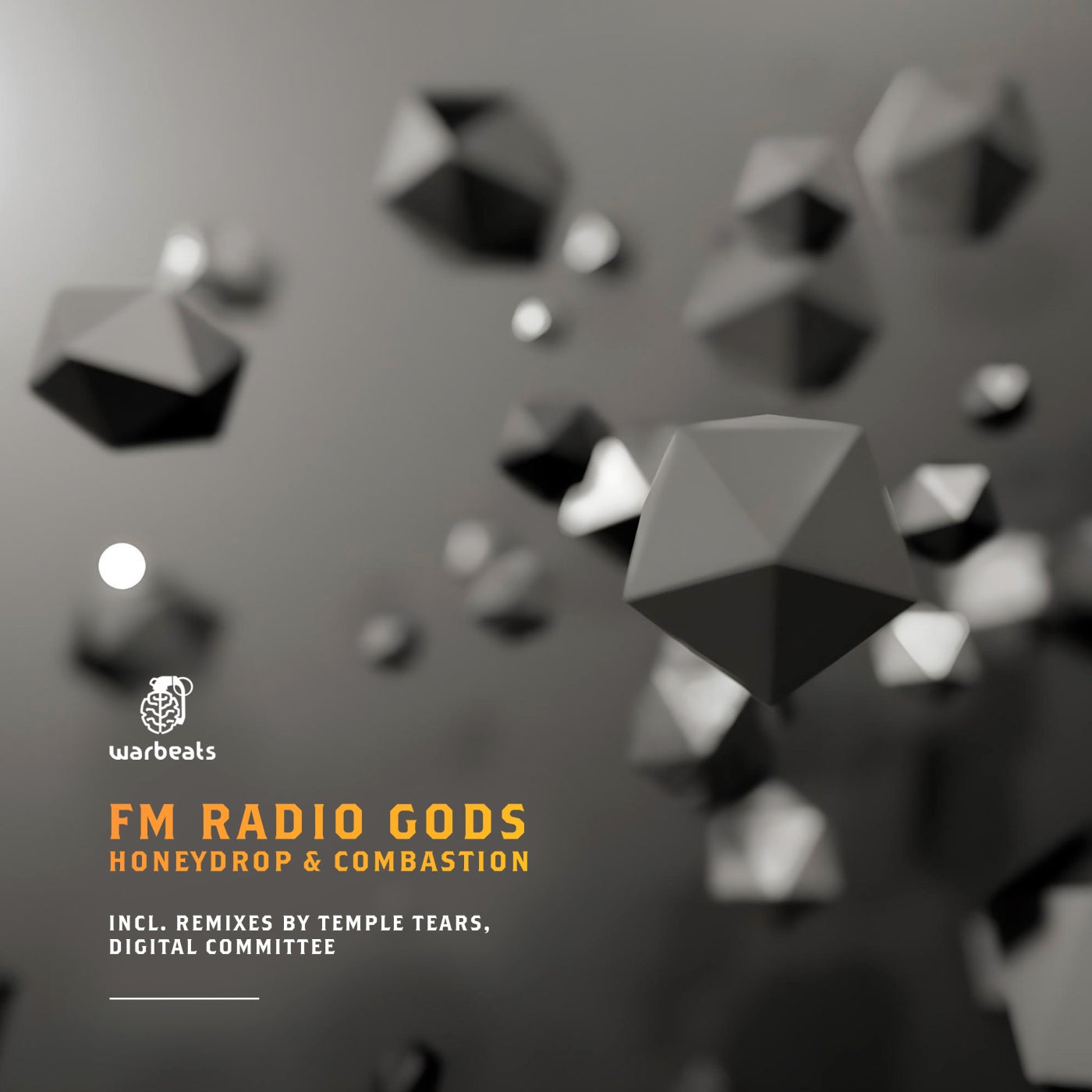Cover - FM Radio Gods - Combastion (Extended Mix)