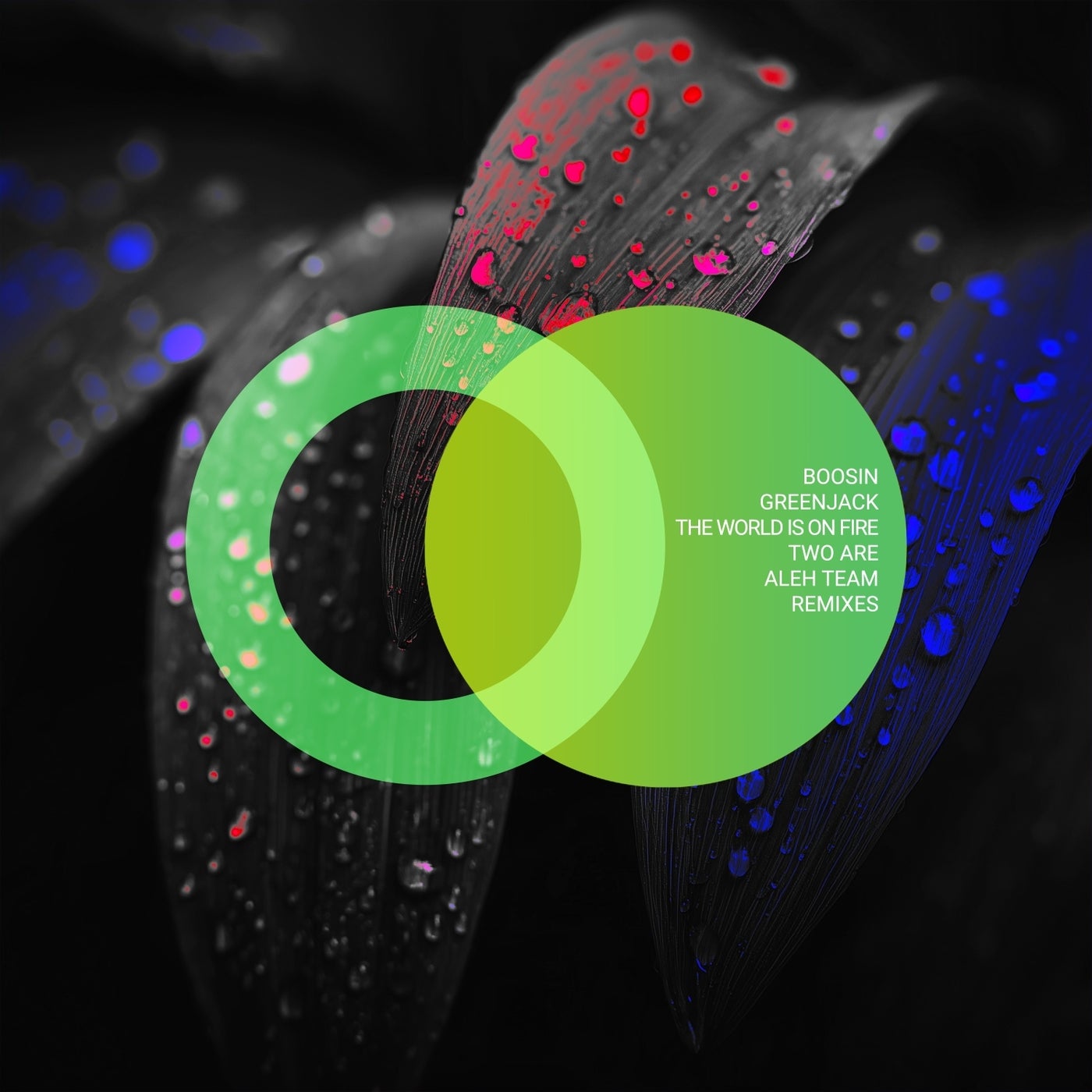 Cover - Greenjack, Boosin - The World Is on Fire (Aleh Team Remix)
