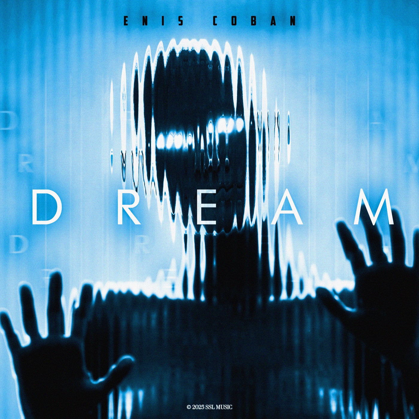 Cover - Enis Coban - Dream  (Extended Mix)