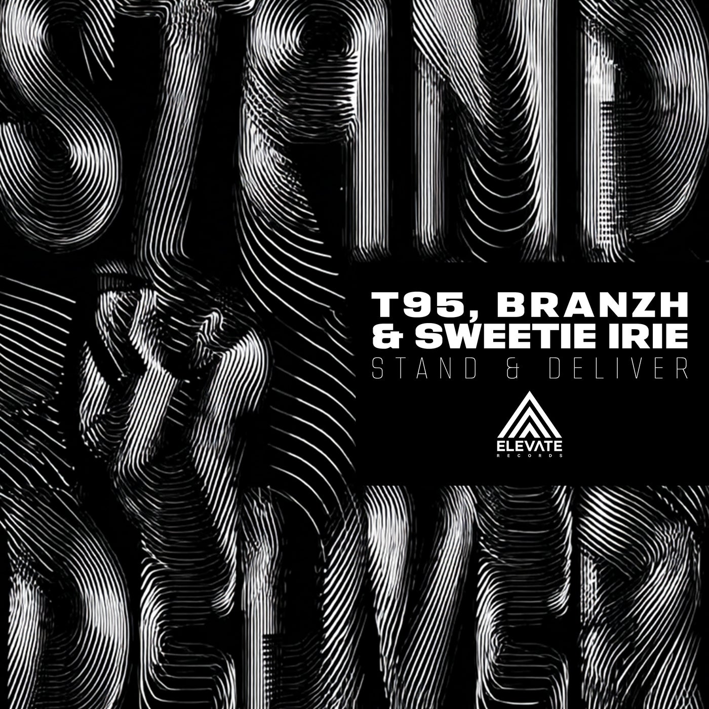 Cover - Sweetie Irie, T95, Branzh - Stand & Deliver (Original Mix)