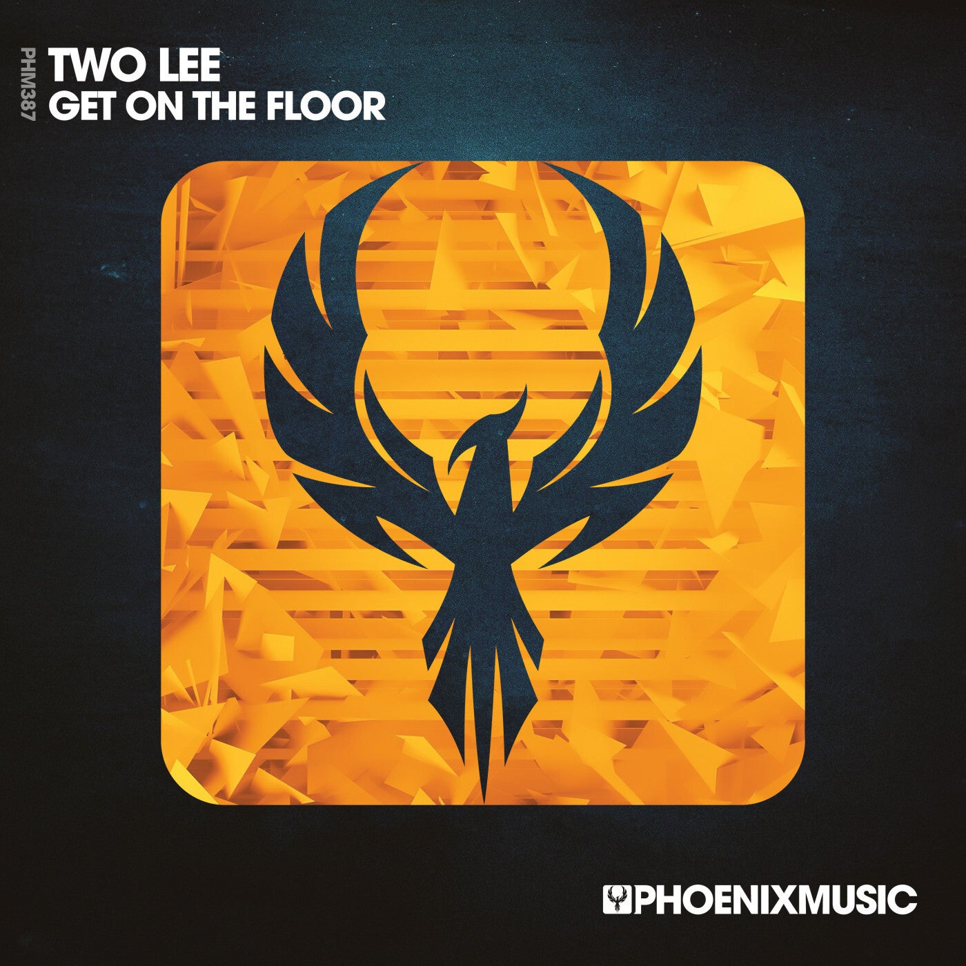 Cover - Two Lee - Get On The Floor (Extended Mix)
