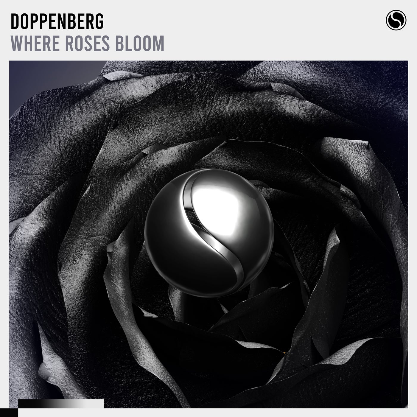 Cover - Doppenberg - Where Roses Bloom  (Extended Mix)