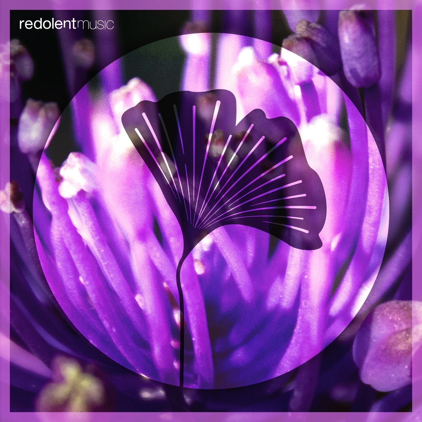 Cover - Darksidevinyl, Mariøsh - Jameela (Original Mix)