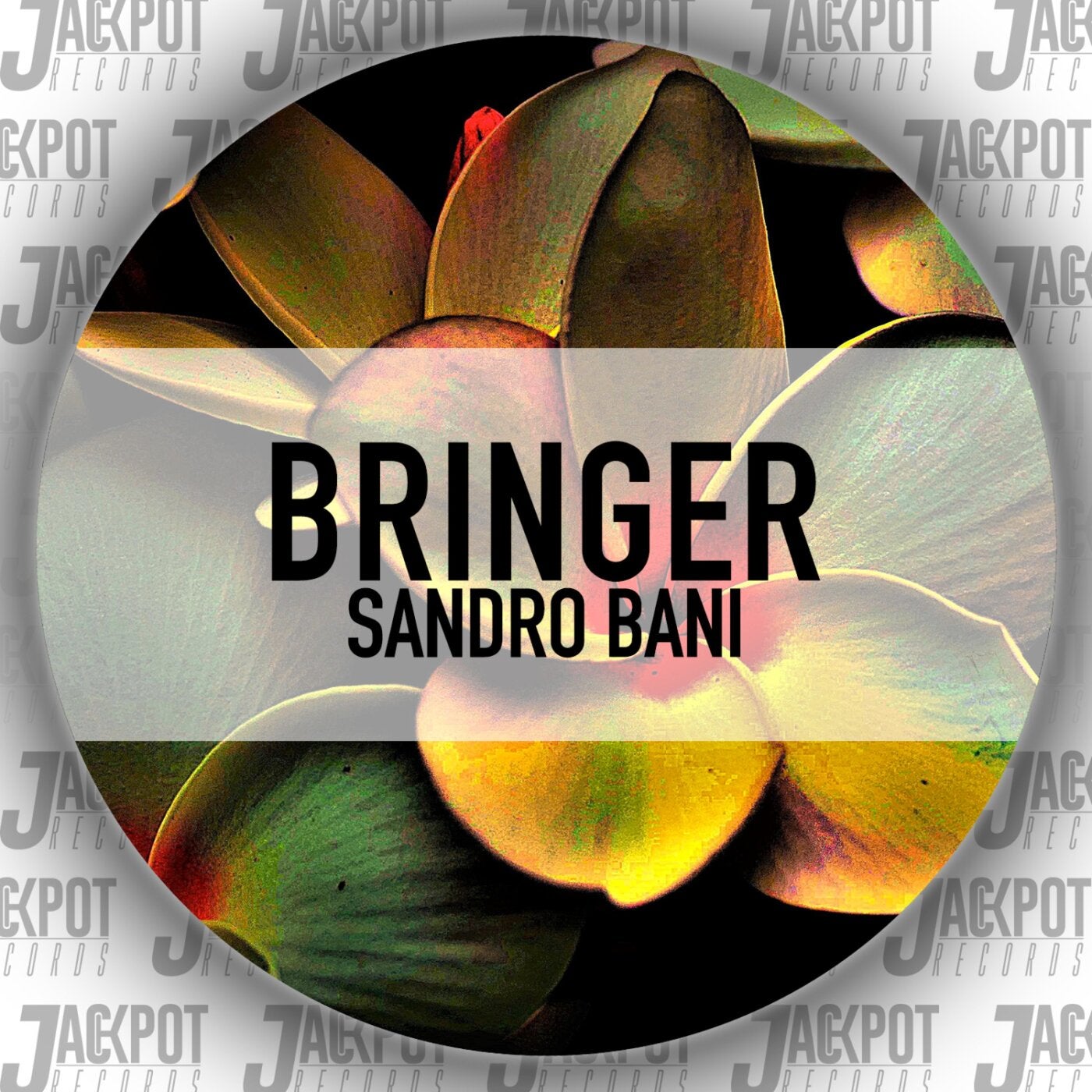 Cover - Sandro Bani - Bringer  (Original Mix)