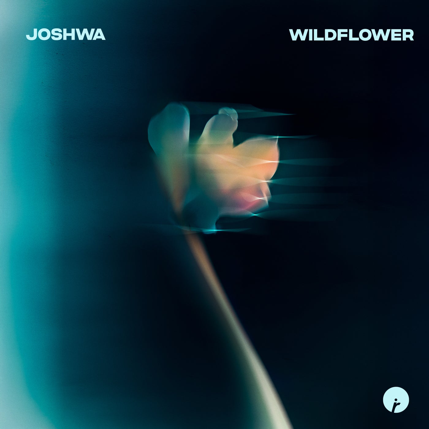 Cover - Joshwa - Wildflower (Extended Mix)