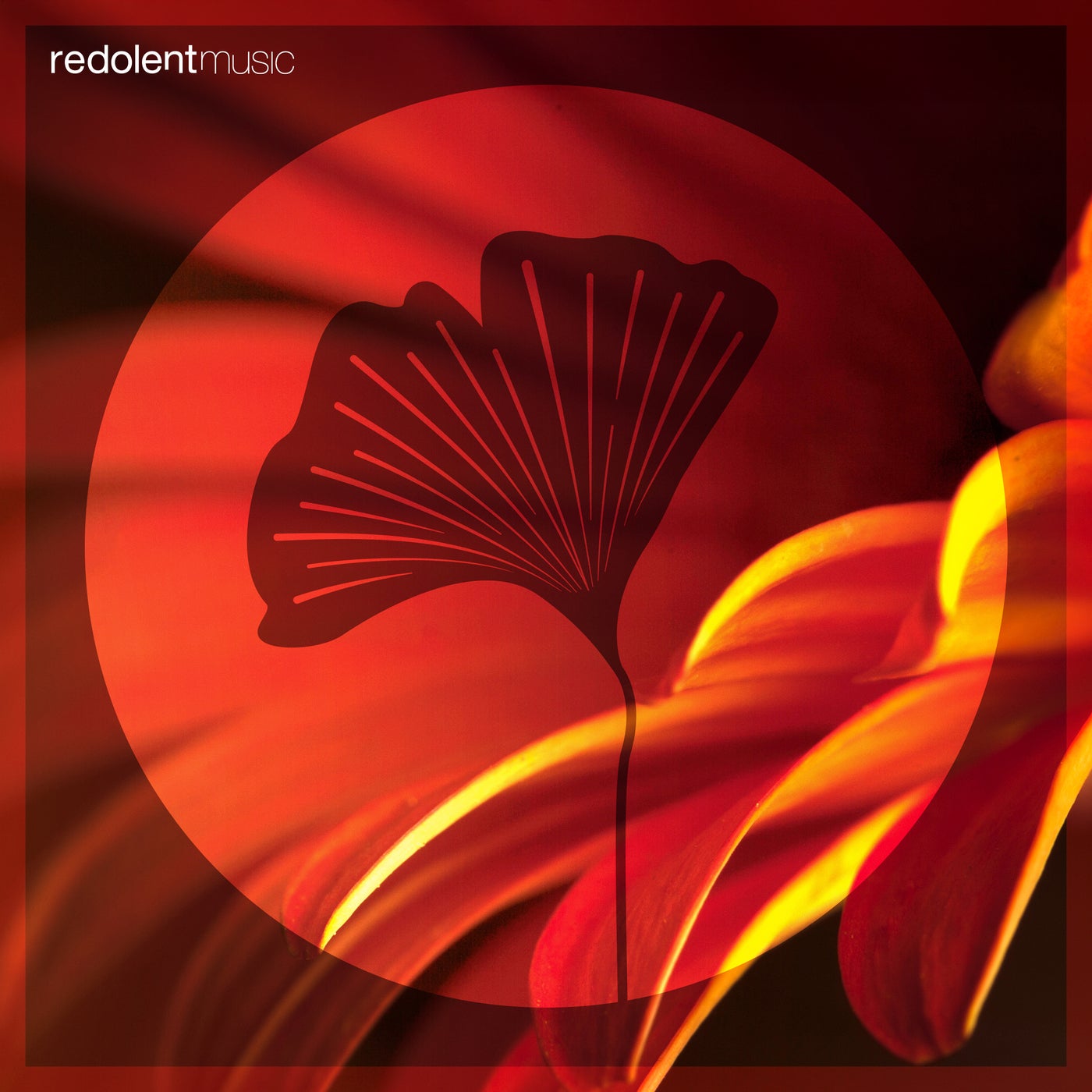 Cover - Ivan Romero - Aura (DJ CHUS Remix)