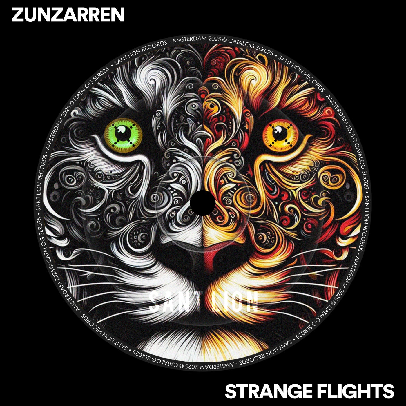 Cover - Zunzarren - Strange Flights (Original Mix)