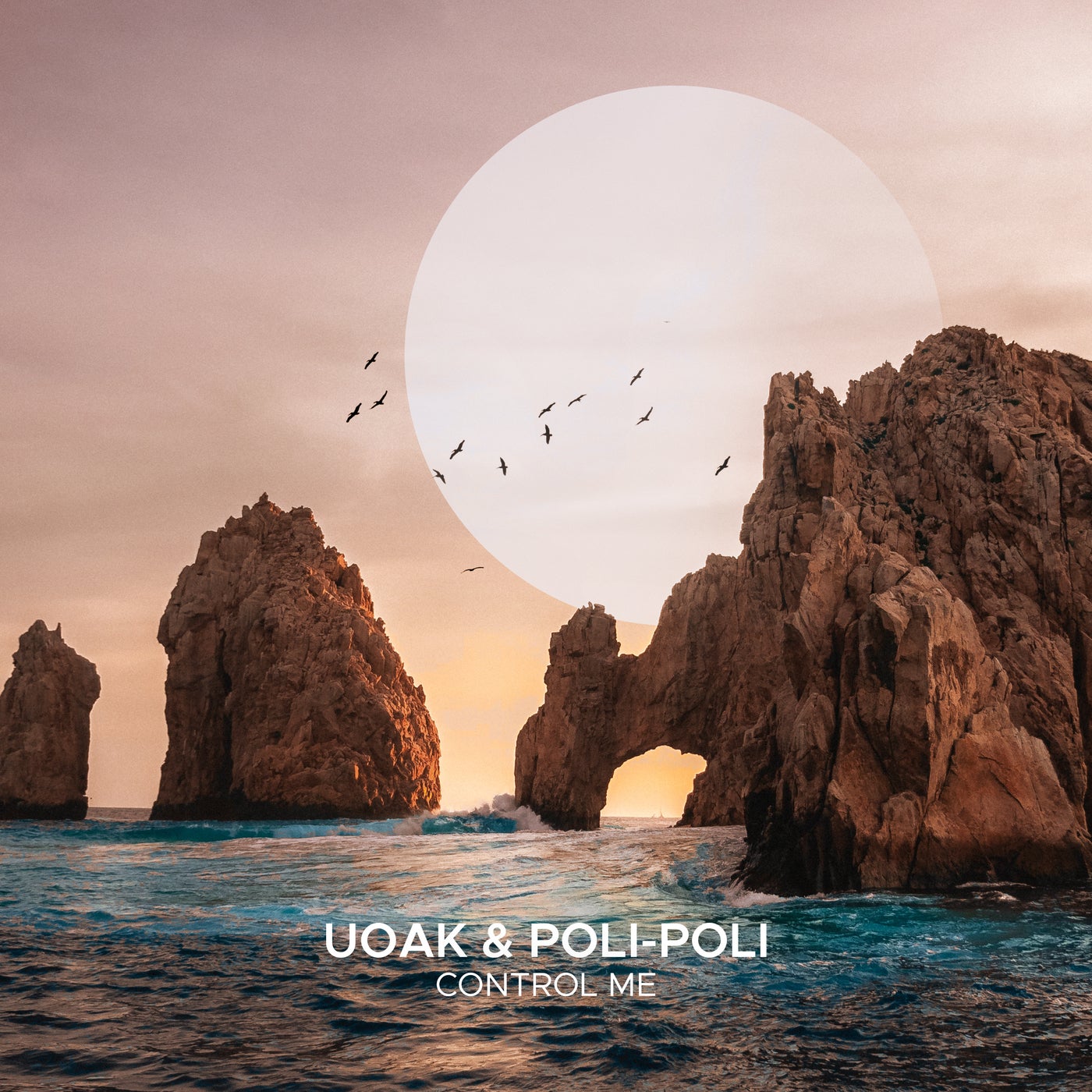 Cover - UOAK, Poli-Poli - Control Me  (Extended Mix)