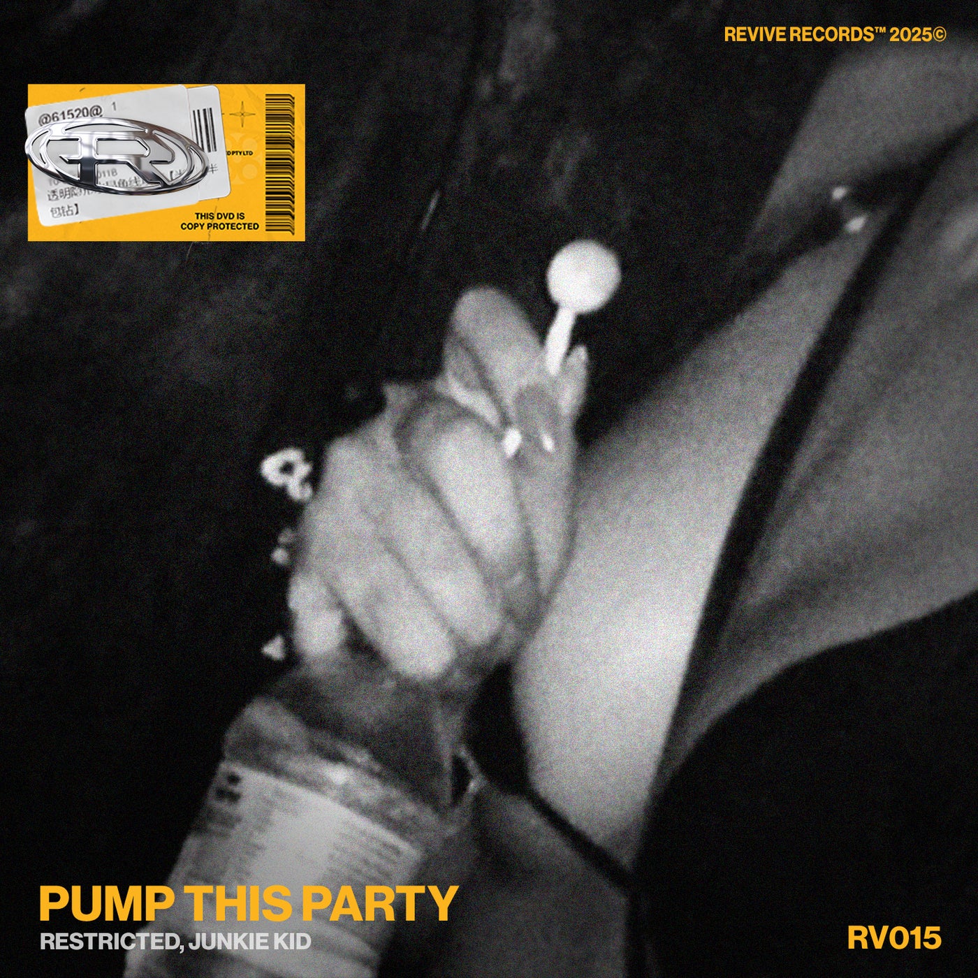 Cover - Junkie Kid, Restricted - Pump This Party (Extended Mix)