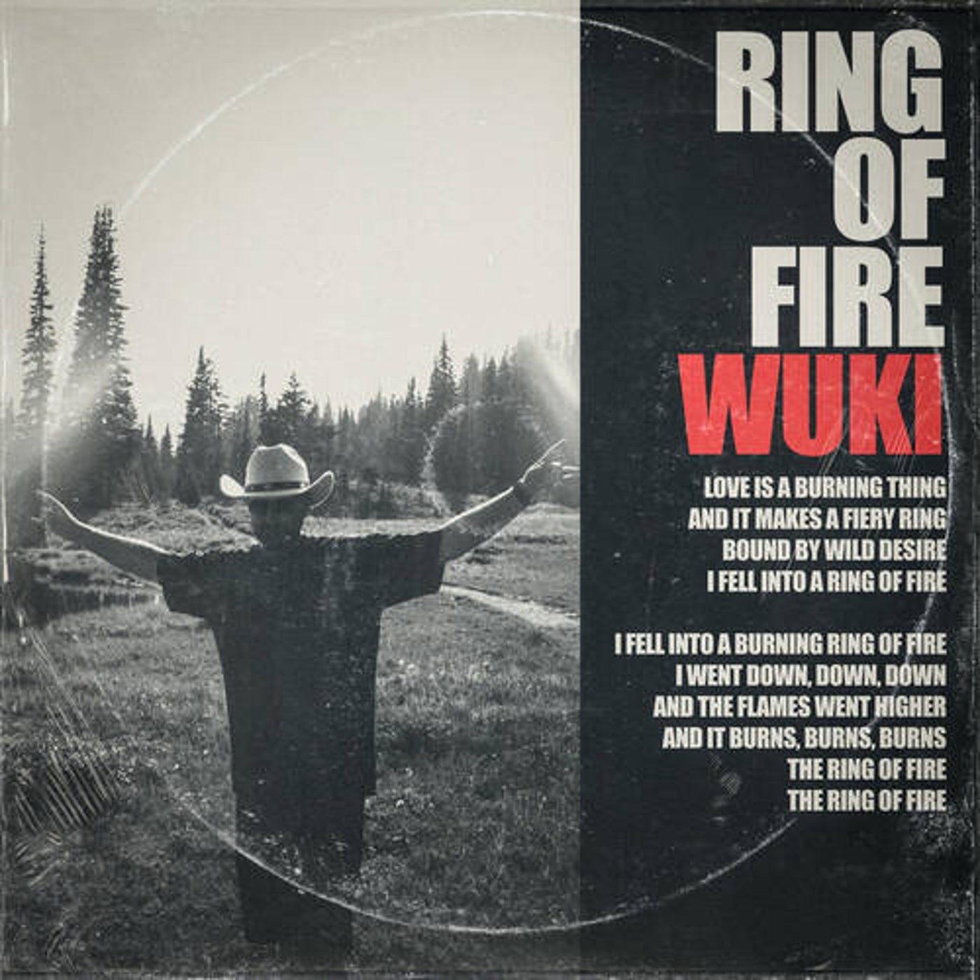 Cover - Wuki - Ring of Fire (Extended)