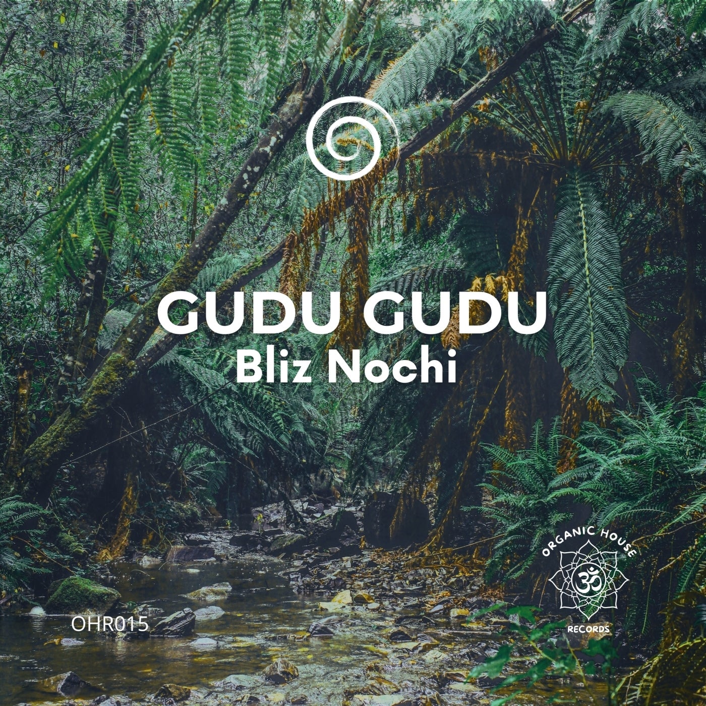 Cover - Bliz Nochi - Gudu Gudu (Original Mix)