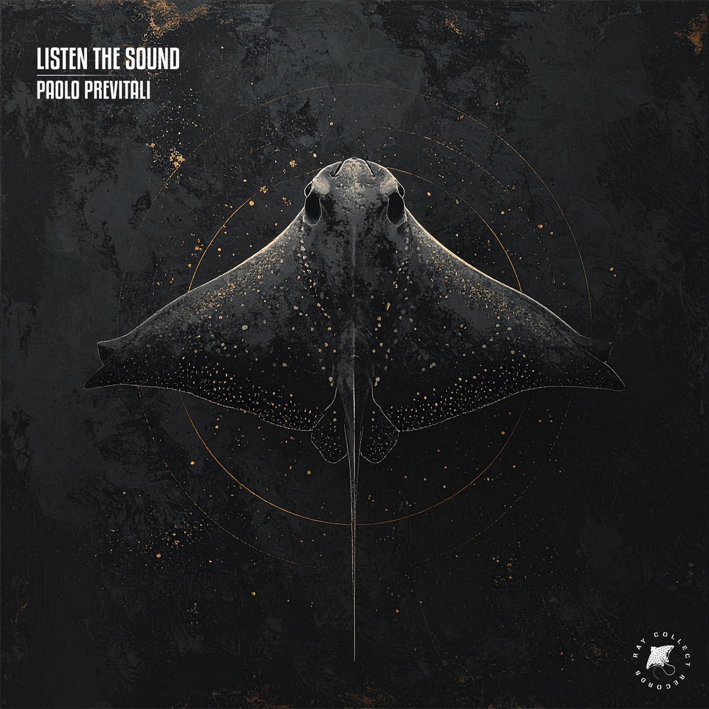 Cover - Paolo Previtali - Listen the Sound (Extended Mix)