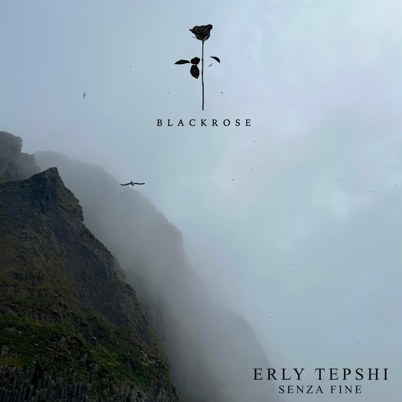 Cover - Erly Tepshi - Senza Fine (Original Mix)