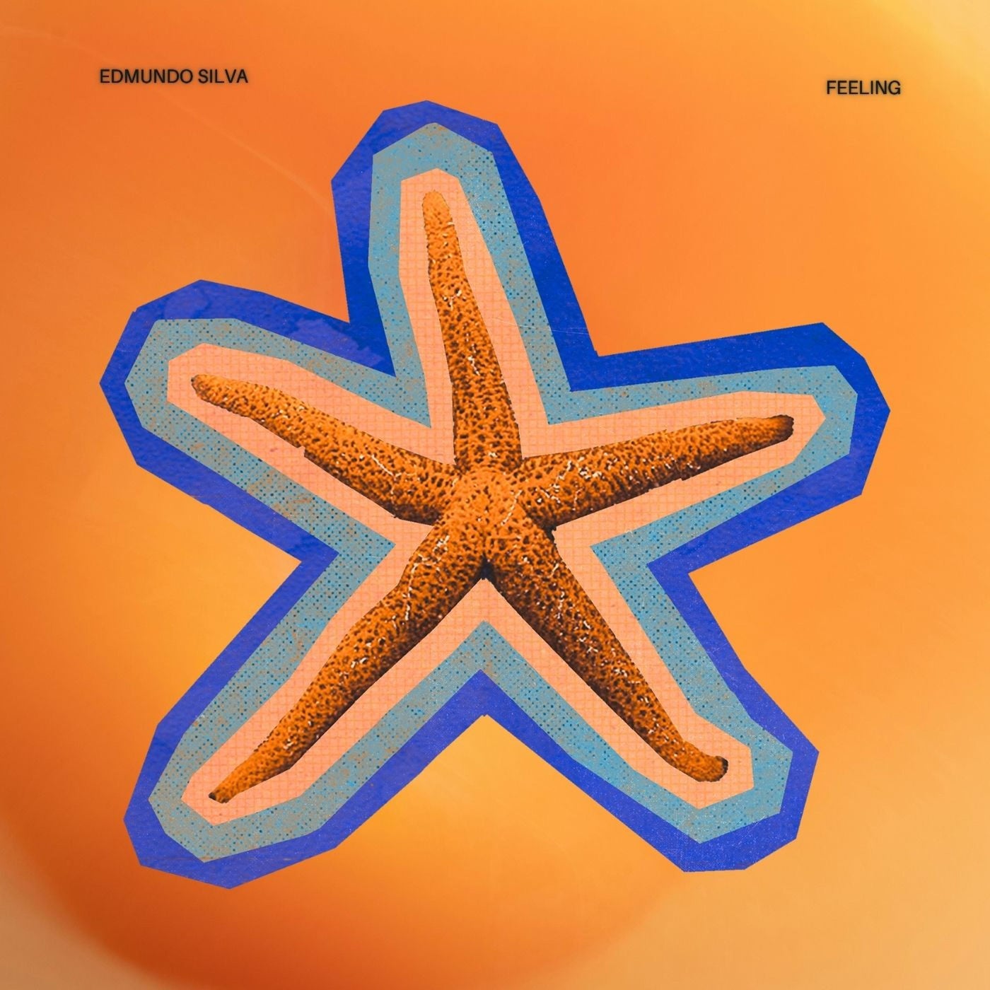 Cover - Edmundo Silva - Feeling (Original Mix)