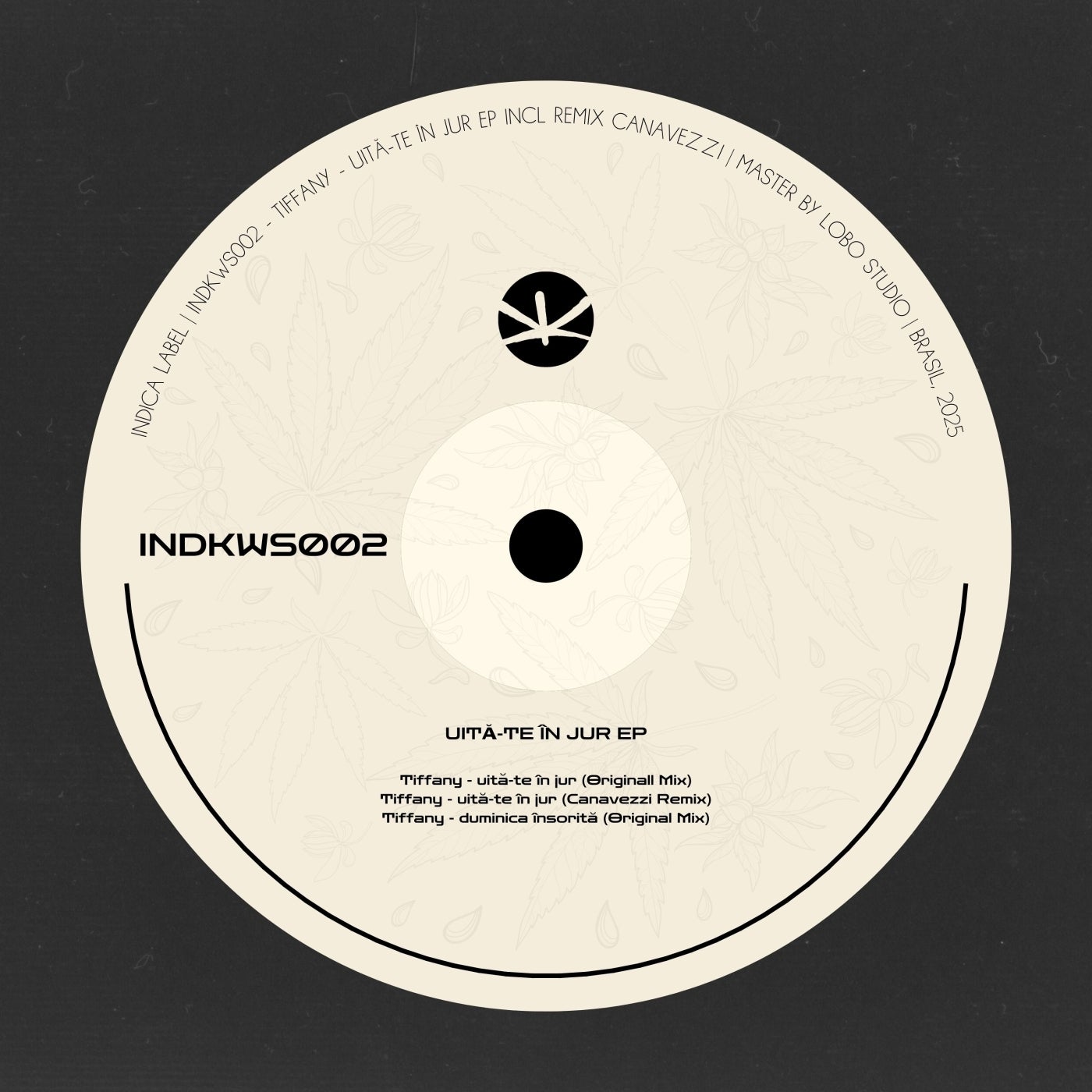 Cover - Tiffany (RO) - uită-te în jur (Canavezzi Remix)