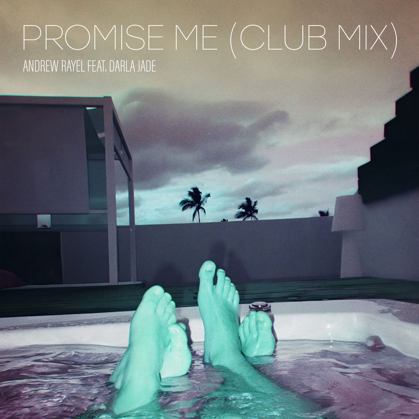 Cover - Andrew Rayel, Darla Jade - Promise Me  (Extended Club Mix)