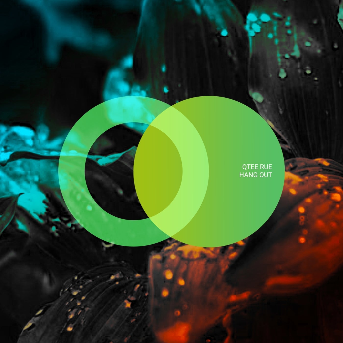 Cover - Qtee Rue - Sinatra (Original Mix)