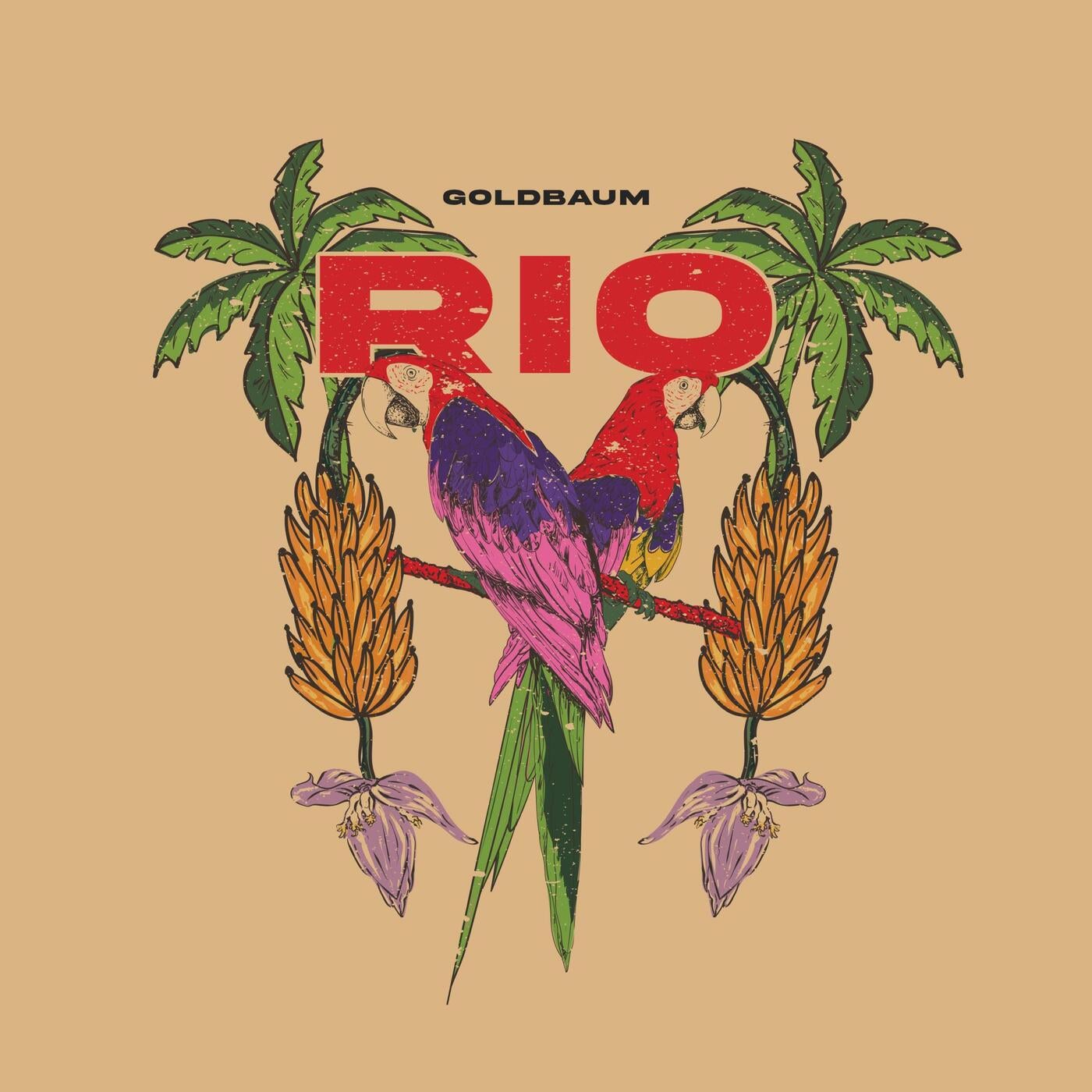 Cover - GOLDBAUM - RIO (Original Mix)