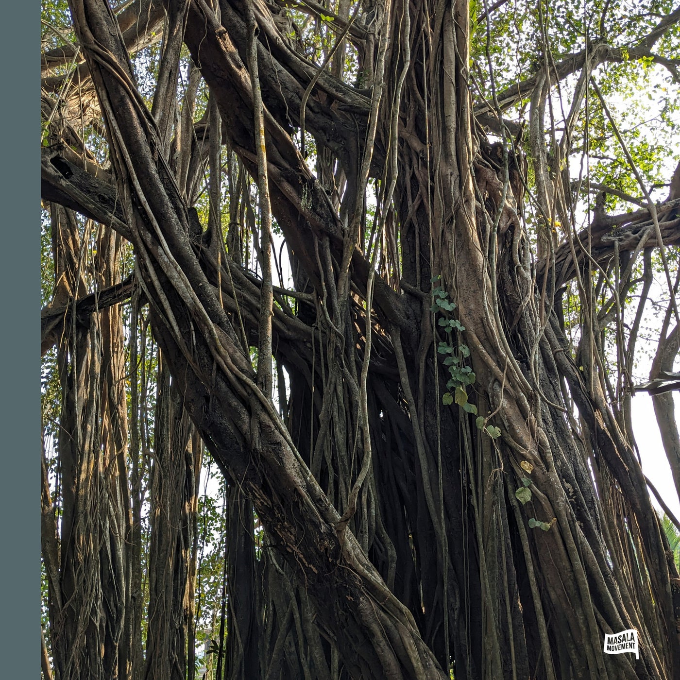 Cover - Pawas, Unnayanaa - Oscillation (Original Mix)