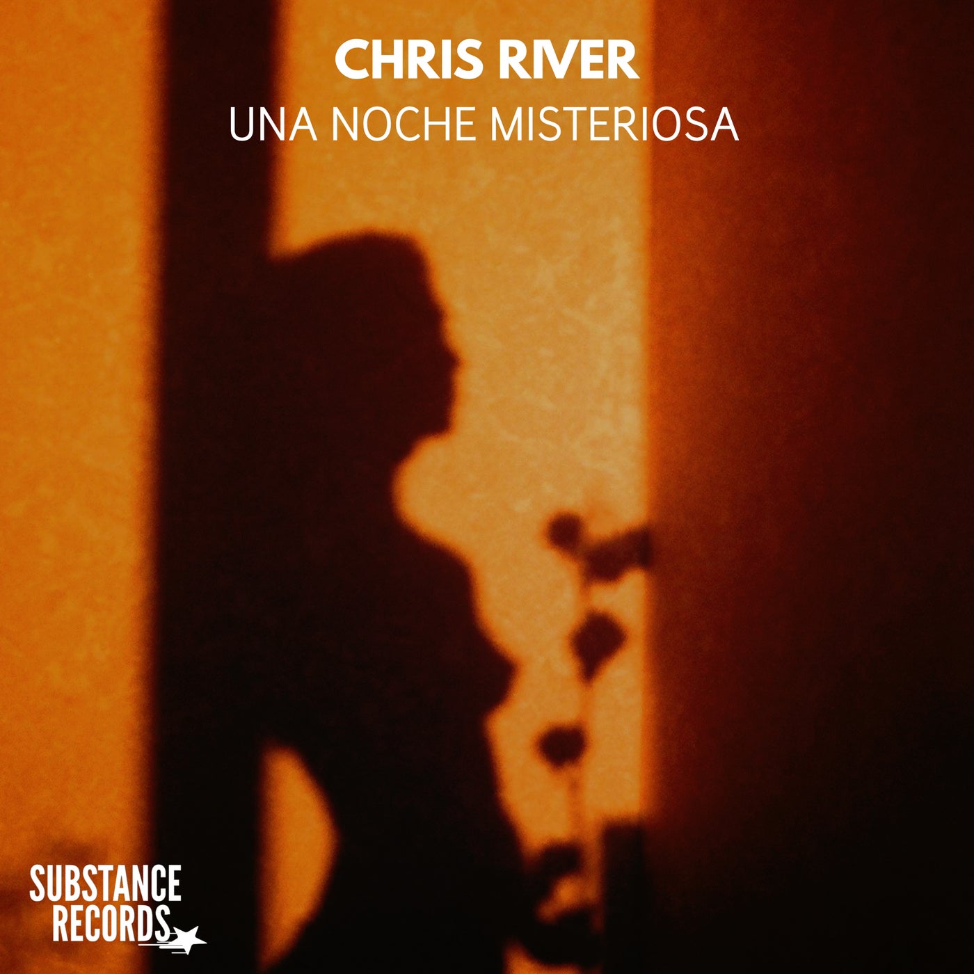 Cover - Chris River - Una Noche Misteriosa  (Original Mix)