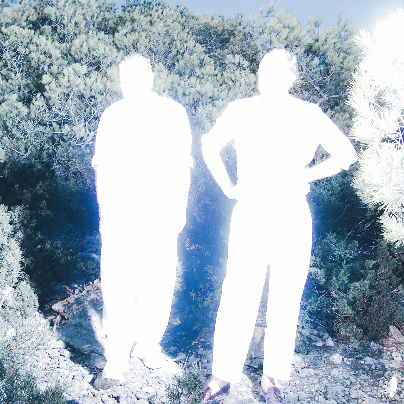 Cover - Soulwax - Run Free (Nite Version)