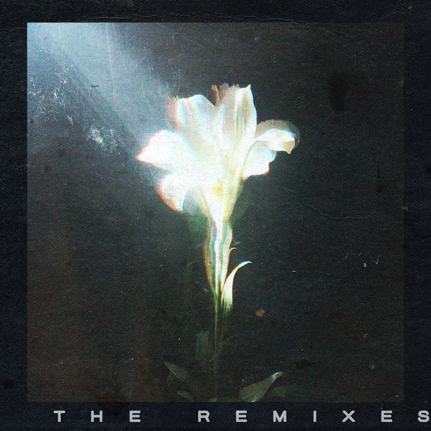 Cover - Netsky, Bebe Rexha - Light That Leads Me (Boris Way Extended Remix)