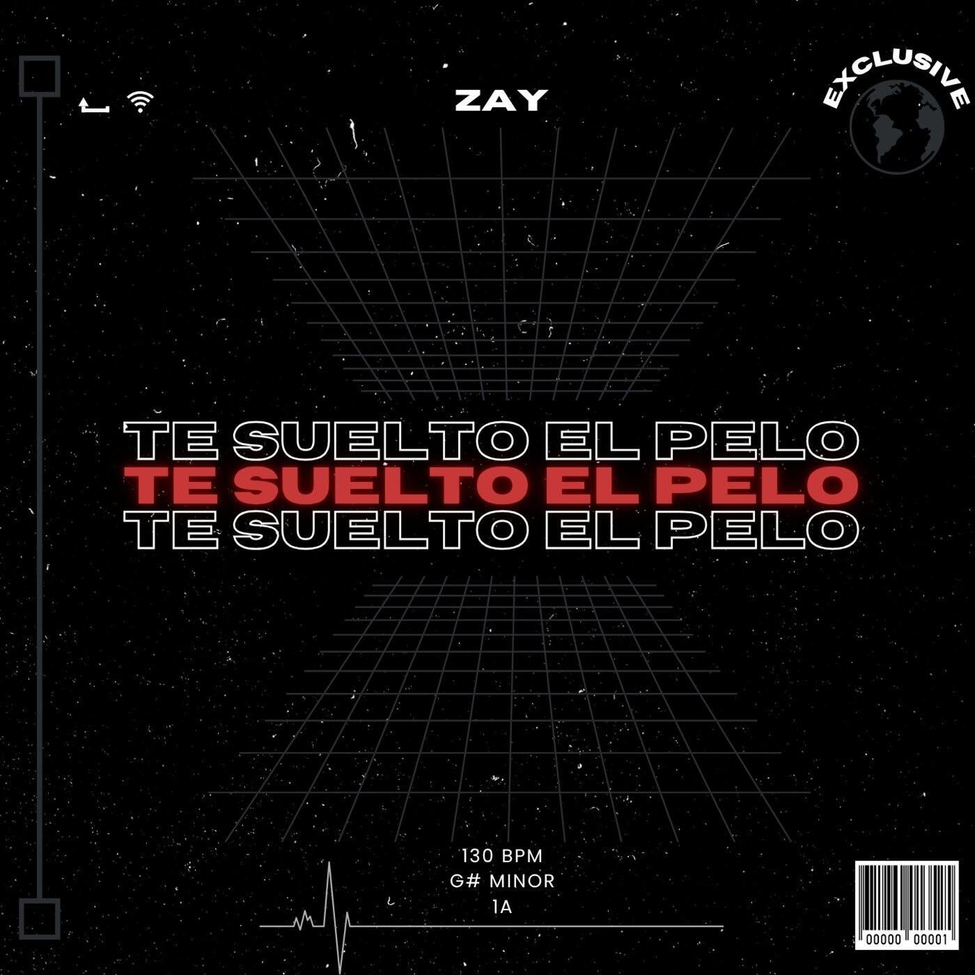 Cover - ZAY - Te Suelto El Pelo (Original Mix)