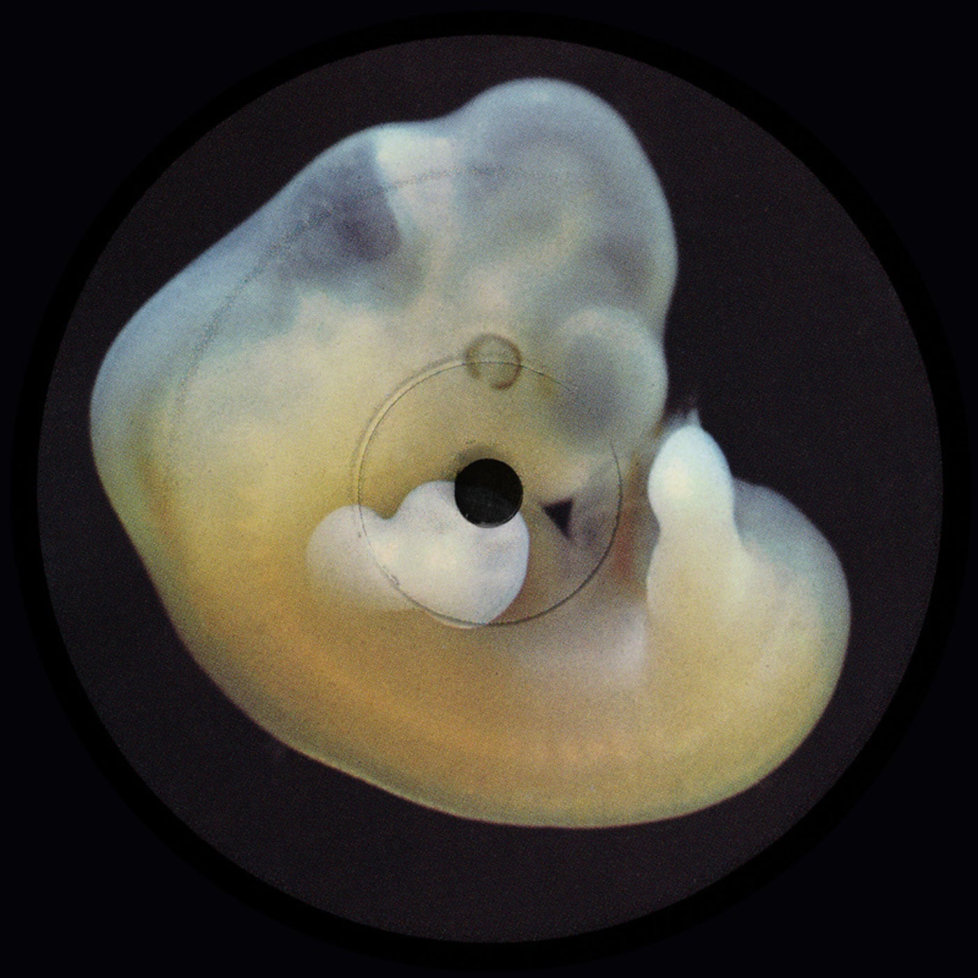 Cover - Bergqvist - Drex Vibe (Original Mix)