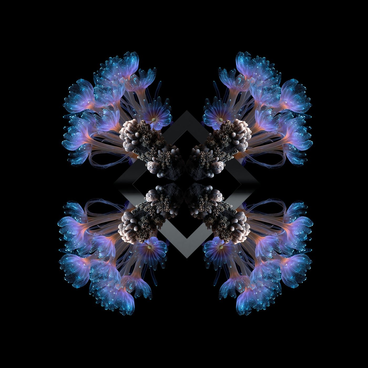 Cover - Fideles, 88Birds - 10 Breaths  (Original Mix)