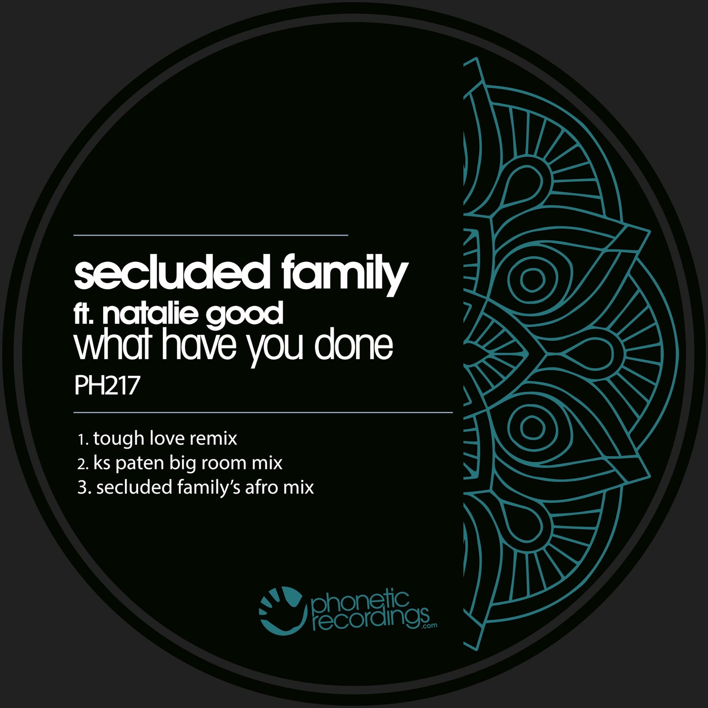 Cover - Secluded Family, Natalie Good - What Have You Done (KS Paten Big Room Mix)