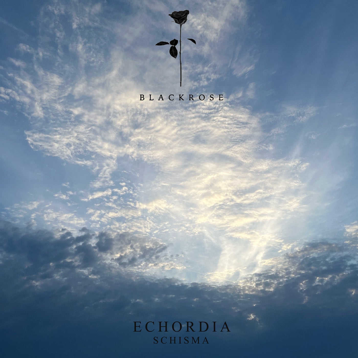 Cover - Echordia - Schisma (Original Mix)
