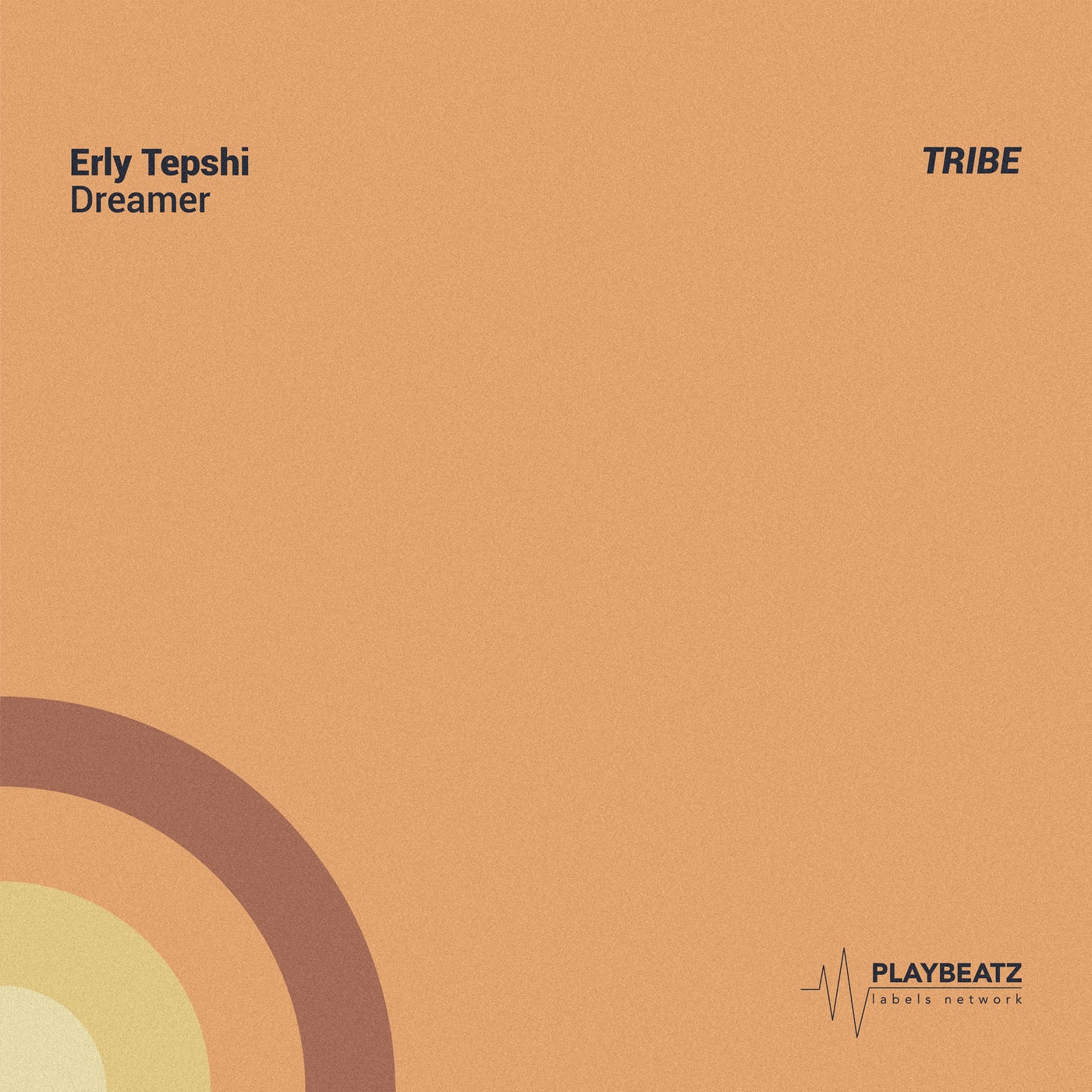 Cover - Erly Tepshi - Dreamer (Original Mix)