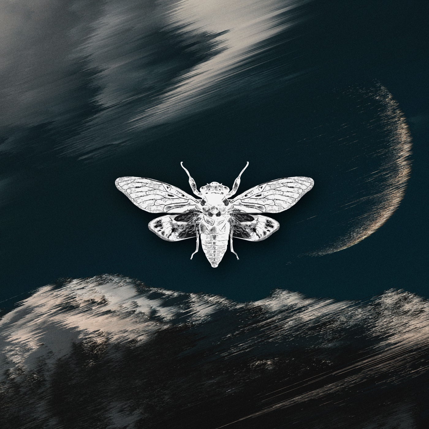 Cover - Proxxy (BR) - Acid Moon (Original Mix)