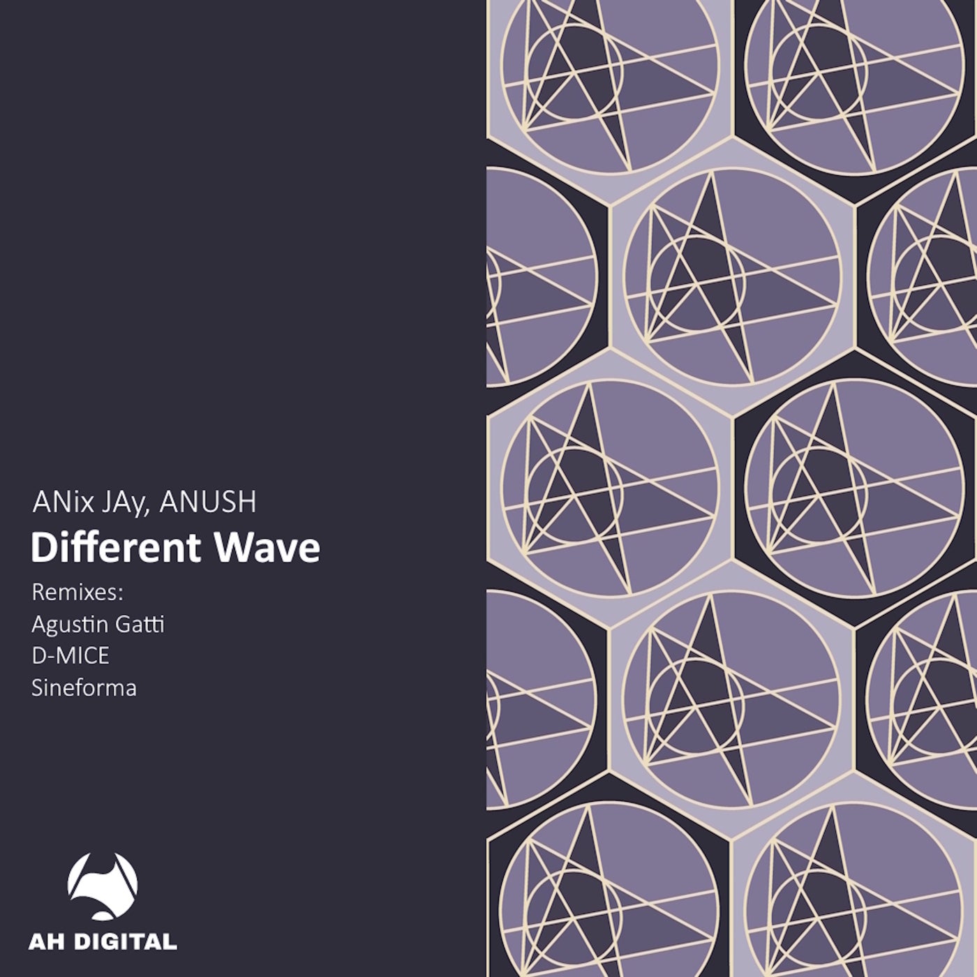Cover - ANix JAy, ANUSH - Different Wave (Original Mix)