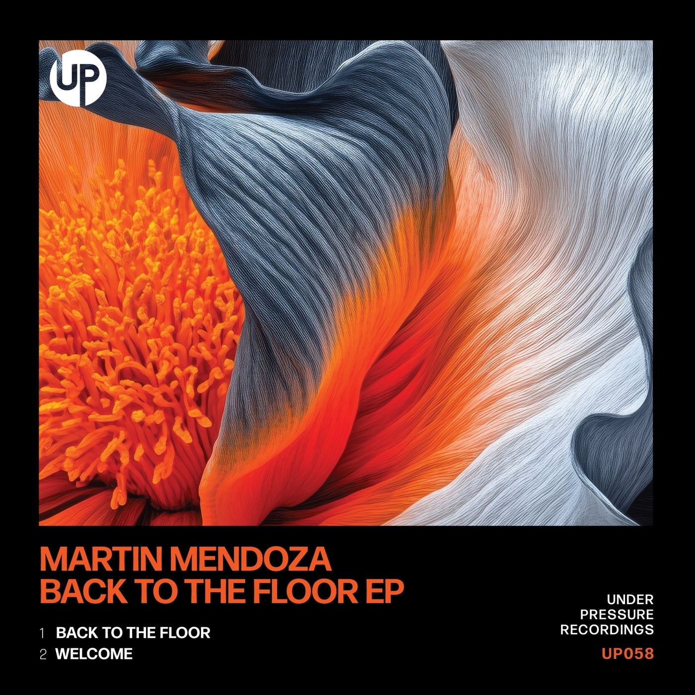 Cover - Martin Mendoza - Back To The Floor (Original Mix)
