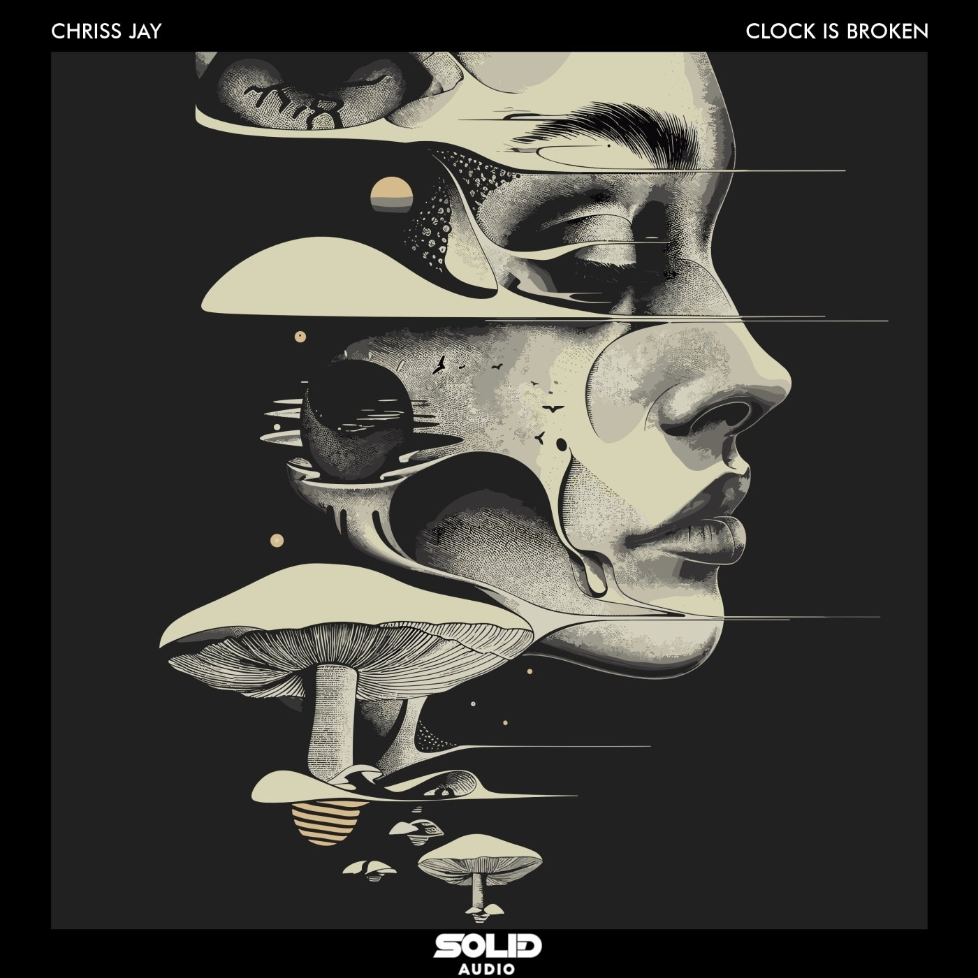 Cover - Chriss Jay - Give Me More (Original Mix)