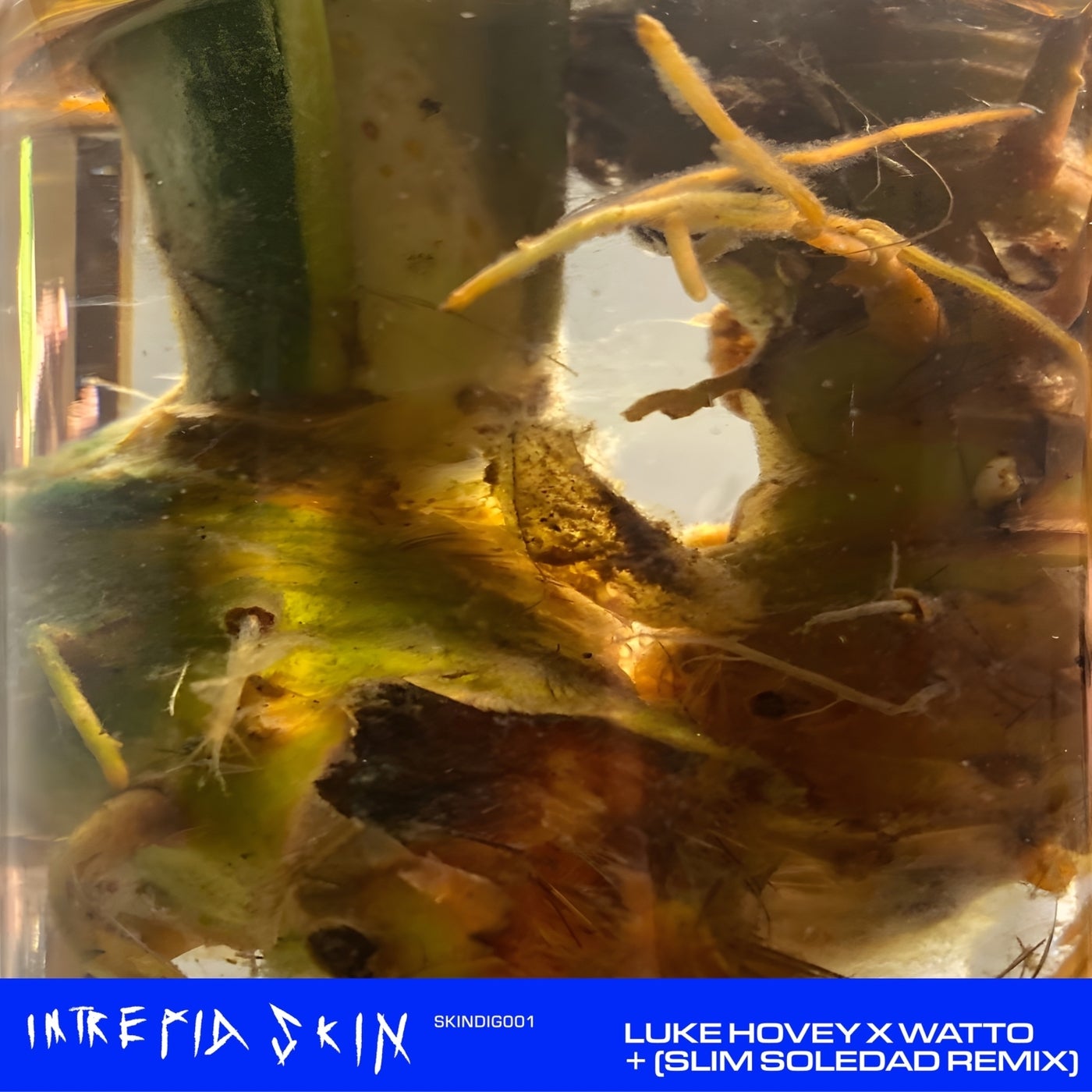 Cover - WaTTO, Luke Hovey - Toco Toco (Original Mix)