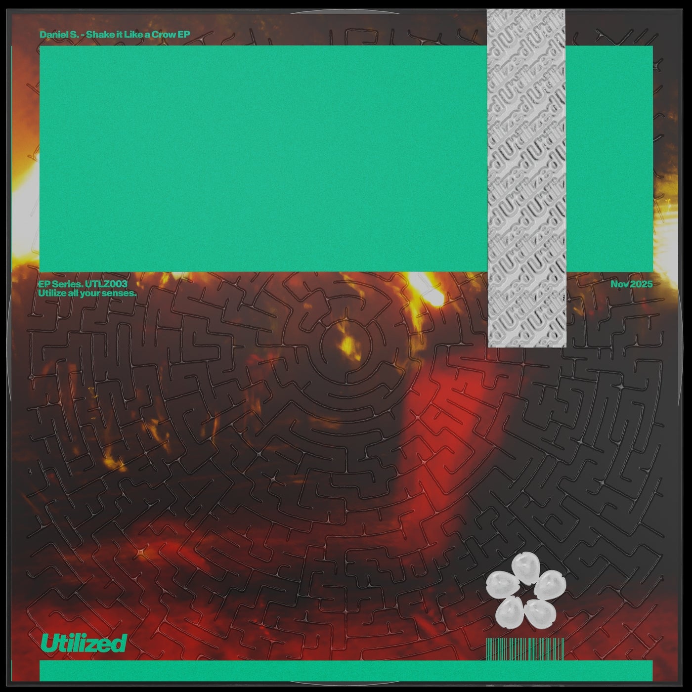 Cover - Daniel S. - Shake It Like a Crow (Original Mix)