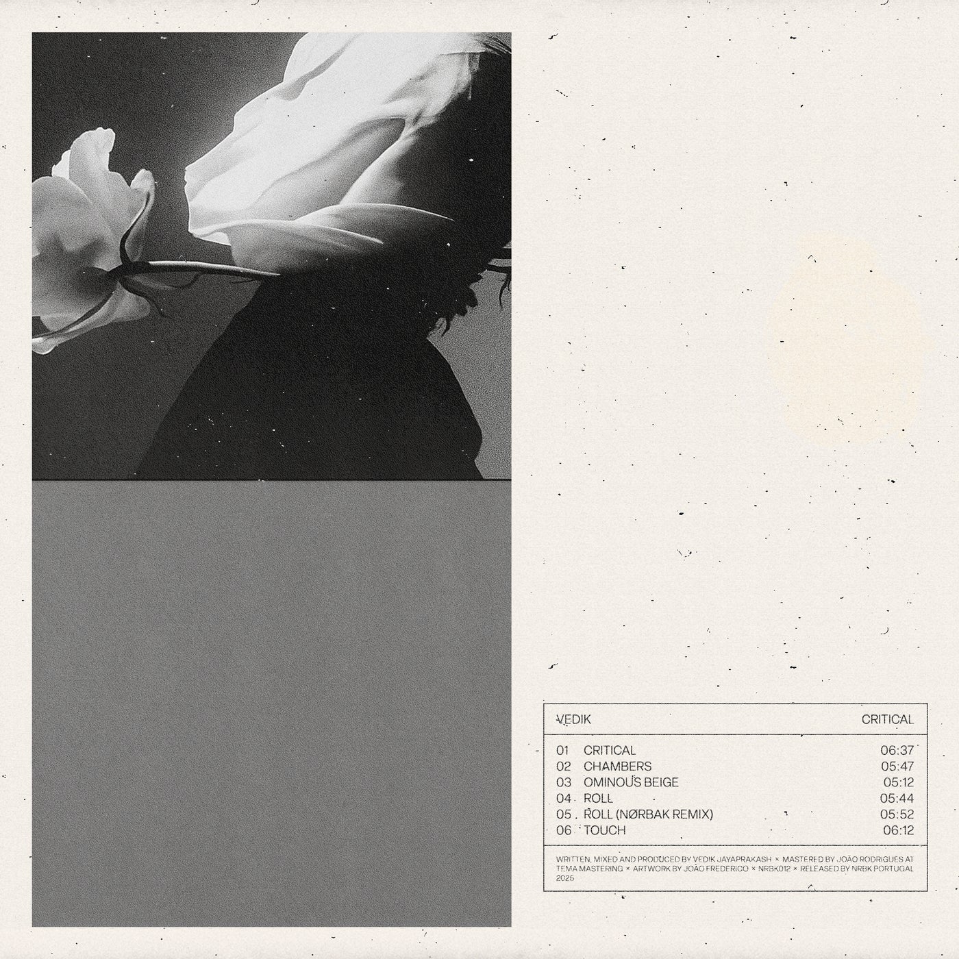 Cover - Vedik - Critical (Original Mix)