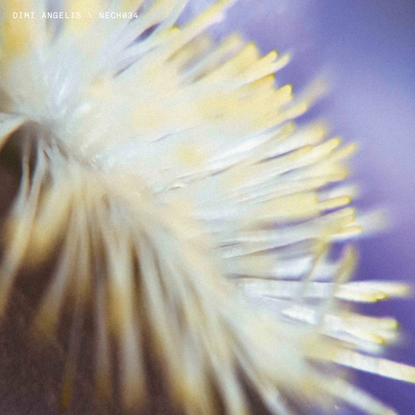 Cover - Dimi Angelis - Metavoid (Original Mix)