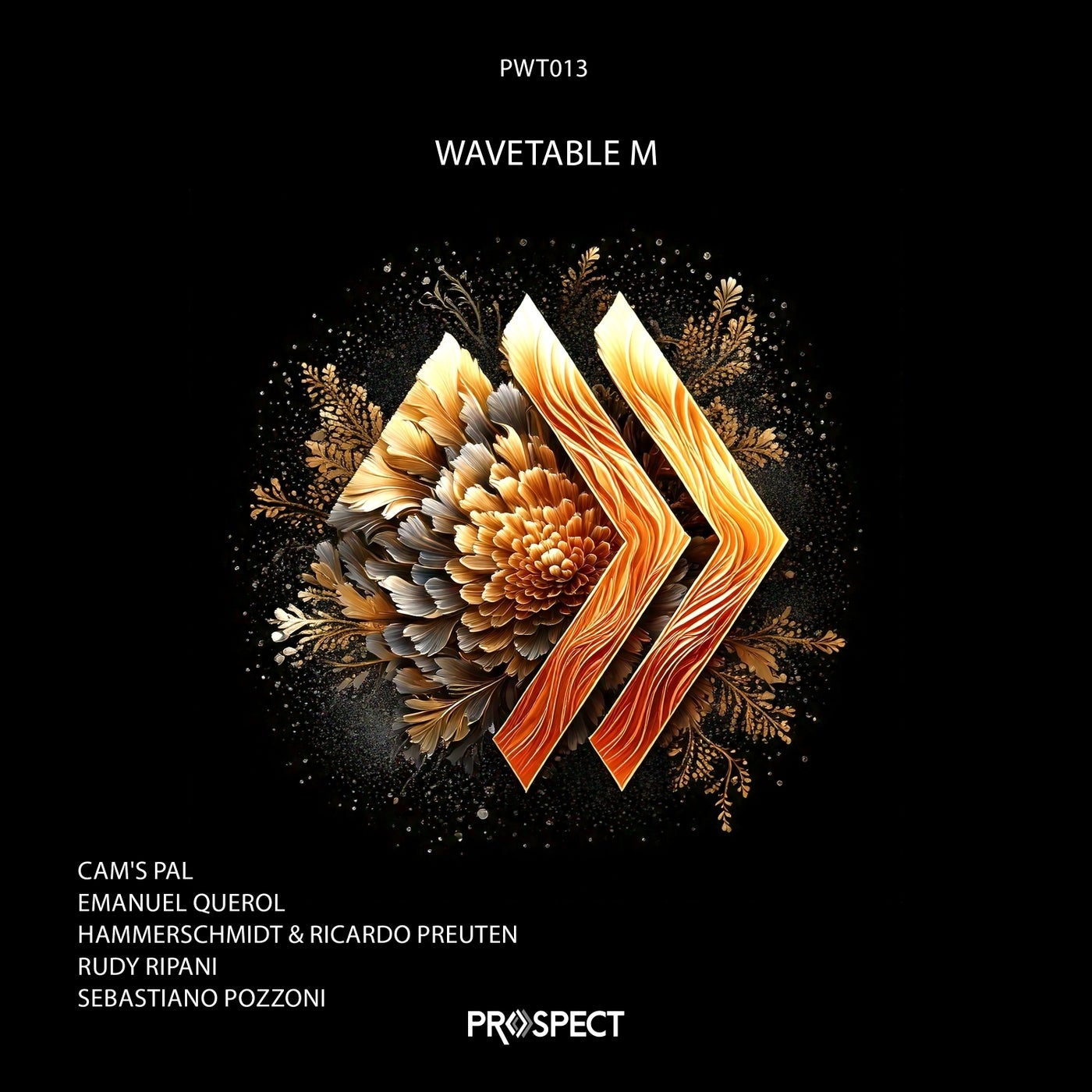 Cover - Rudy Ripani - Caution (Original Mix)