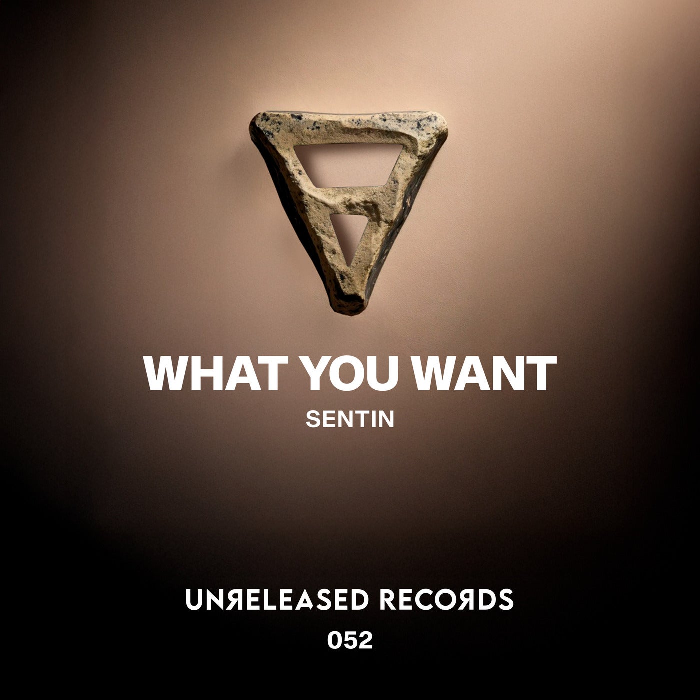 Cover - Sentin - What You Want (Extended Mix)