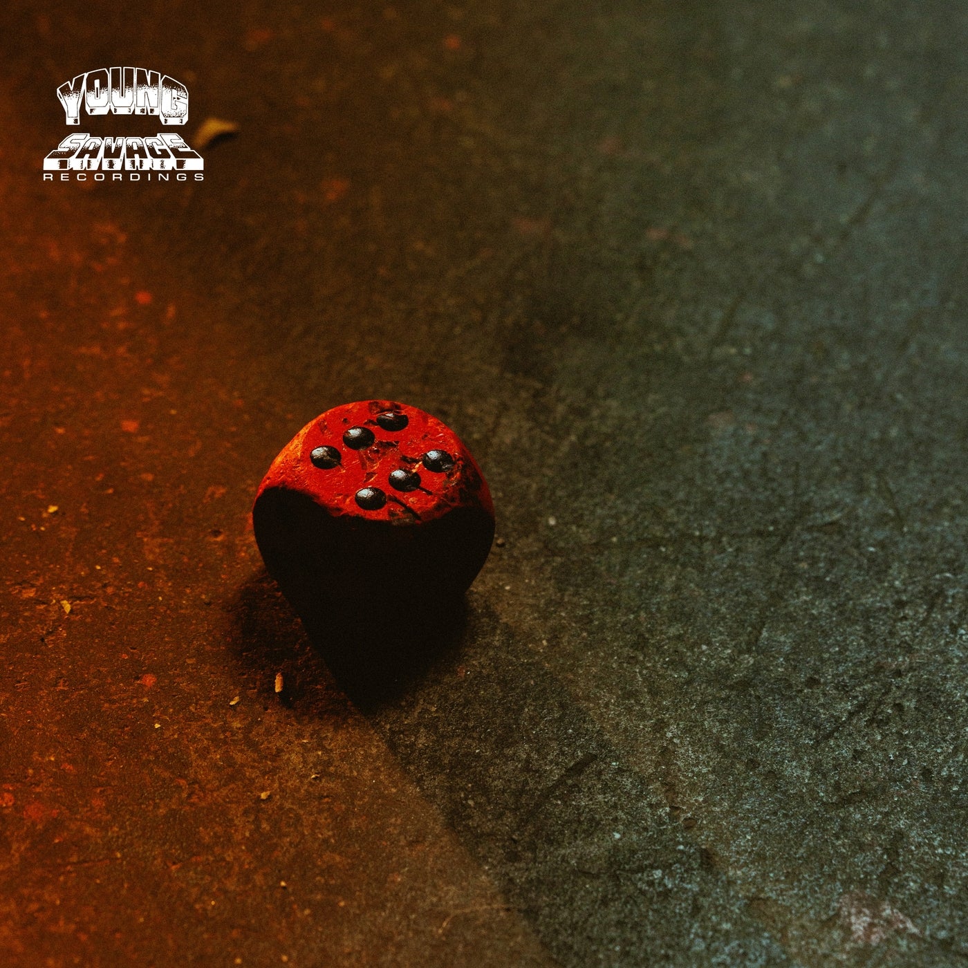 Cover - DJ Physical - Wild Stepper (Original Mix)