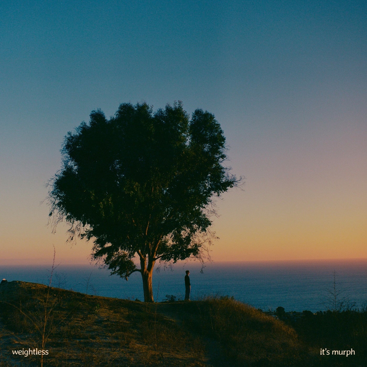 Cover - it's murph - Weightless (w/ Arlo & Allegra Miles) (Extended)