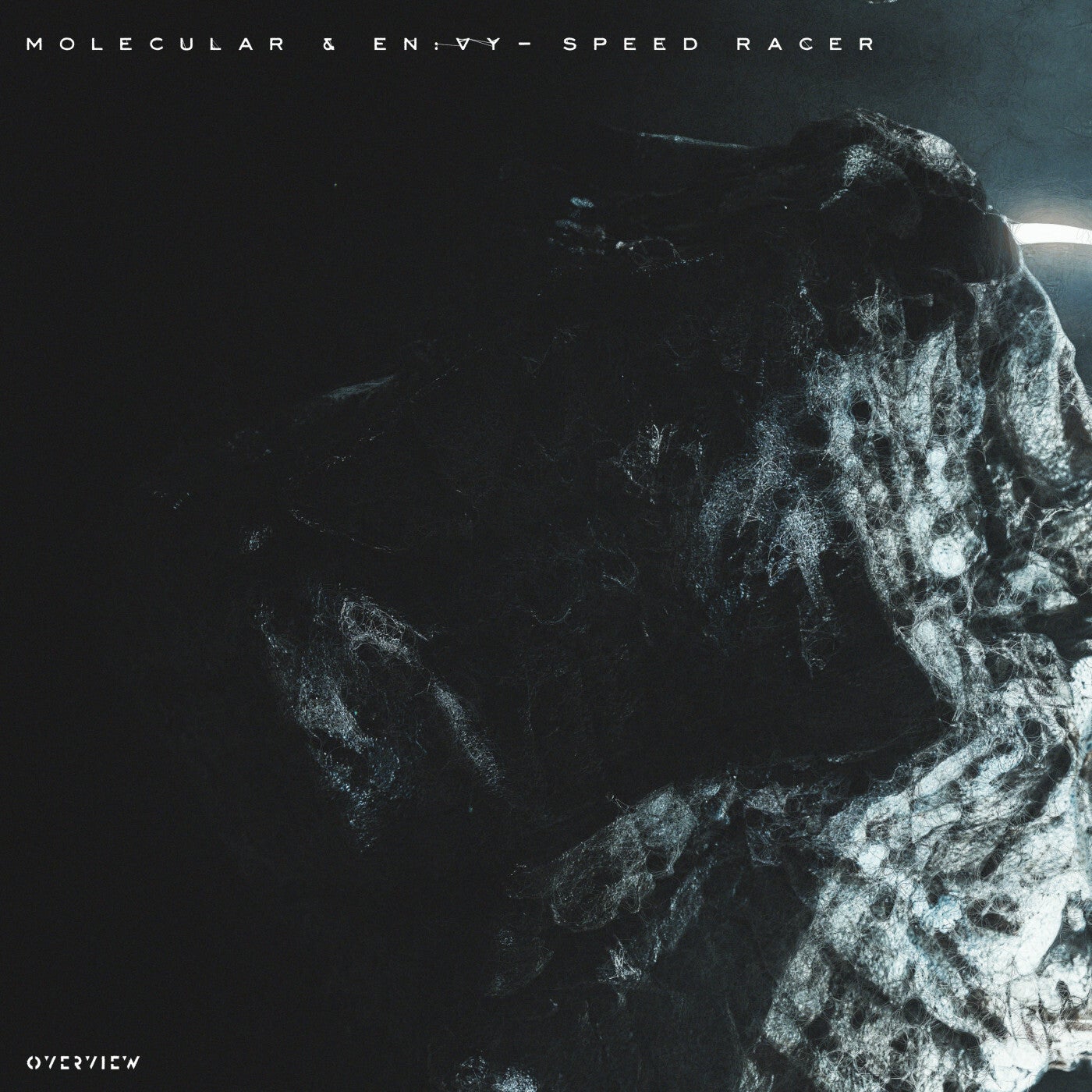 Cover - Molecular, En:vy - Speed Racer (Original Mix)