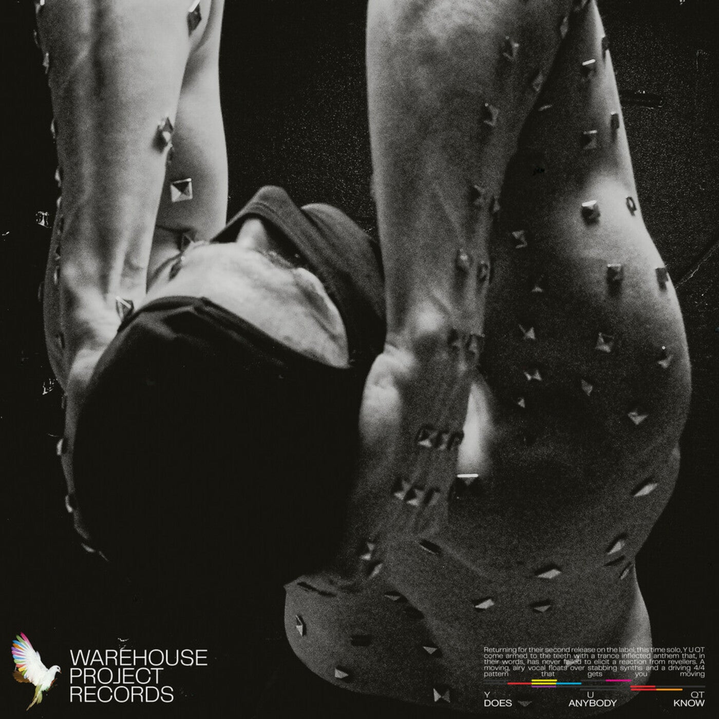 Cover - Y U QT - Does Anybody Know (Extended)