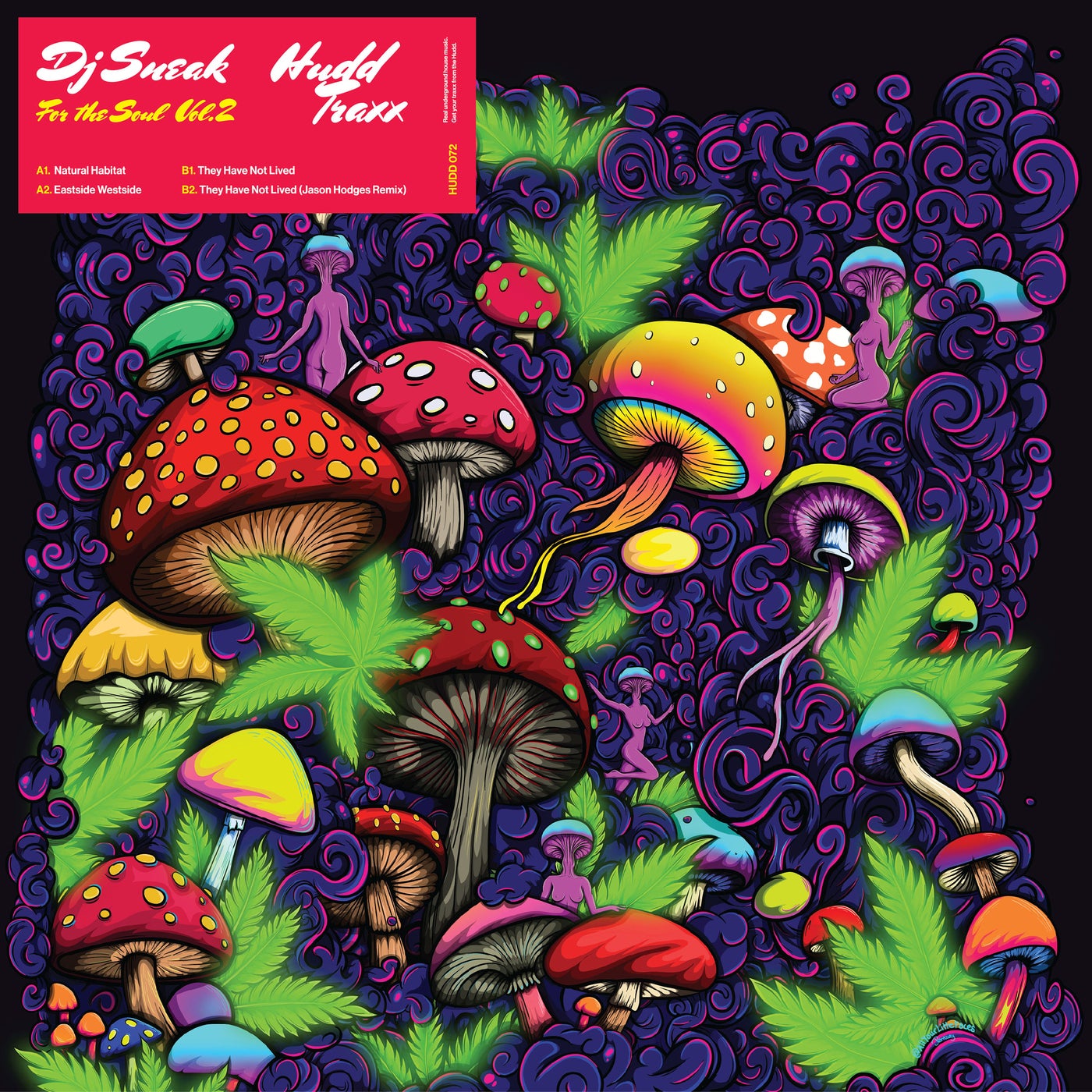 Cover - DJ Sneak - They Have Not Lived (Original Mix)