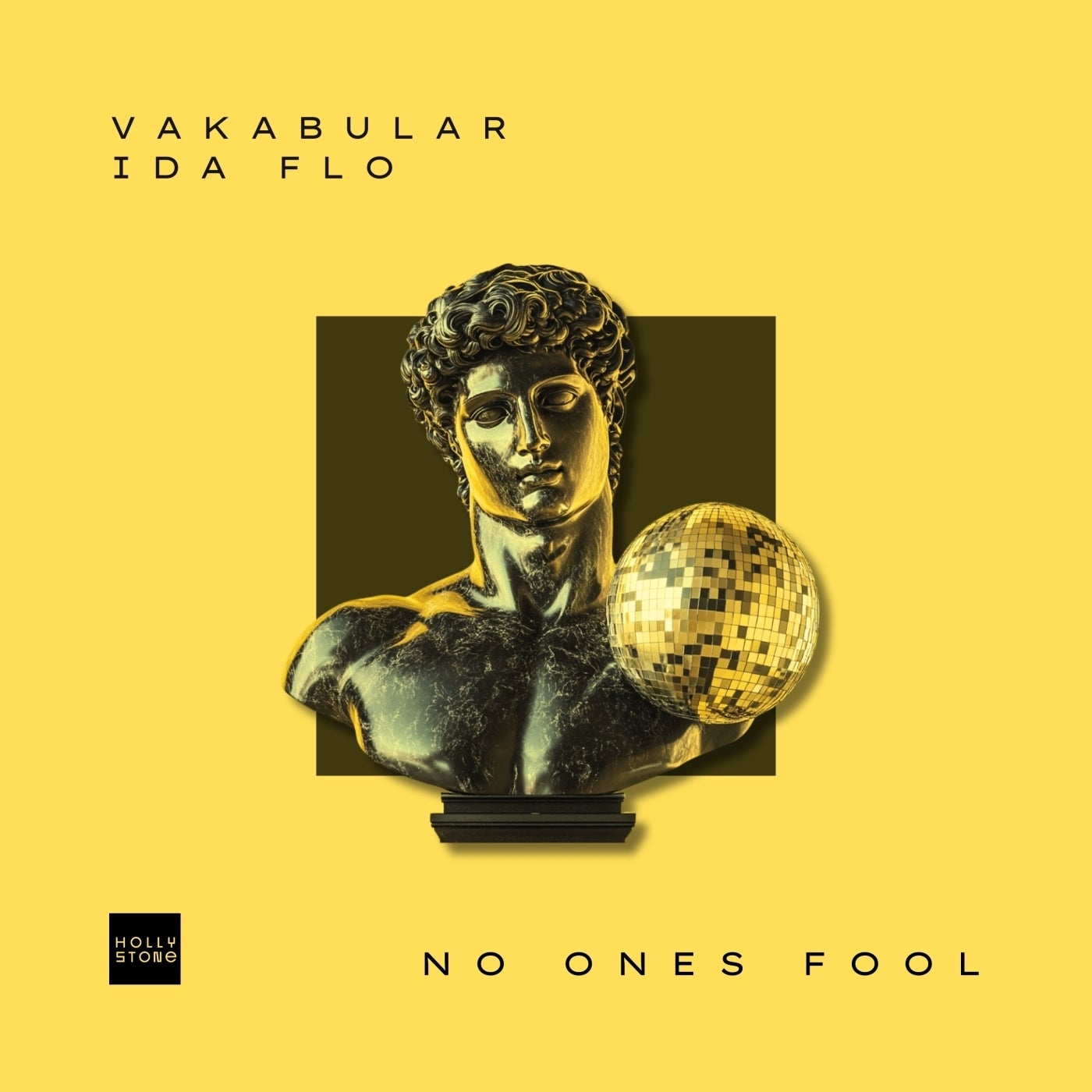 Cover - IDA fLO, Vakabular - No Ones Fool (Extended Mix)