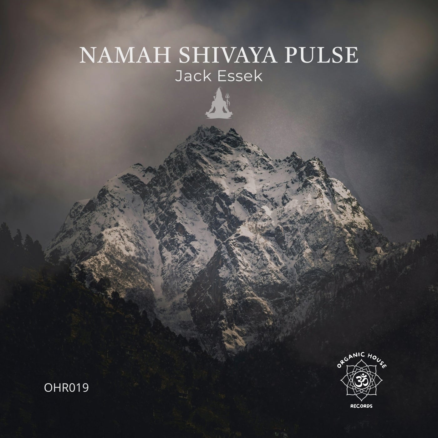 Cover - Jack Essek - Namah Shivaya Pulse (Original Mix)